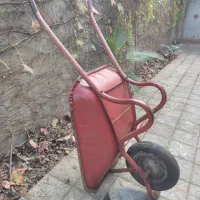 فرغون سالم بدون پوسیدگی