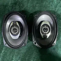 باند پایونر