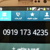 919-173-4235