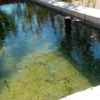 مجموعه مناسب سرمایه گذاری|فروش دفتر صنعتی، کشاورزی، تجاری|قیدار, |دیوار