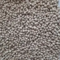 نخود درشت|خوردنی و آشامیدنی|دهگلان, |دیوار