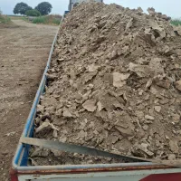 کودمرغ|خدمات باغبانی و درختکاری|گرگان, |دیوار