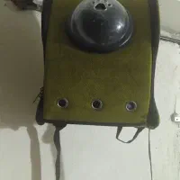 کیف سگ و گربه