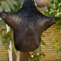 هیزه|ظروف نگهدارنده، پلاستیکی، یکبارمصرف|الشتر, |دیوار