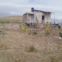 زمین باغی|فروش خانه و ویلا|هریس, |دیوار