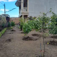 هرس و علف زنی وکلیه خدمات باغبانی|خدمات باغبانی و درختکاری|بندر انزلی, دهکده ساحلی|دیوار