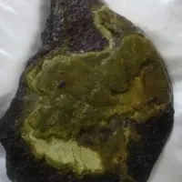 فسیل سنگ خرگوش