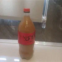 رب انار و رب آلوچه و آبغوره|خوردنی و آشامیدنی|رشت, فلسطین|دیوار