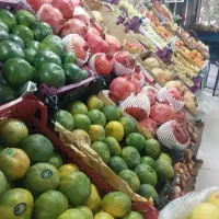 اجاره مغازه برای کسب و کار میوه فروی