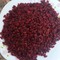 زرشک صادراتی قائنات عمده و خورد