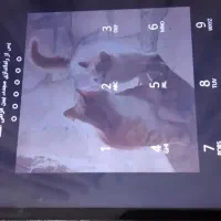 تبلت بسیار تمیز وکاملا سالم