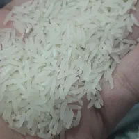 برنج محلی شمال