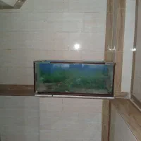 اکواریوم بزرگ