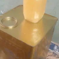 حیوانی باطمع خوش بو