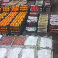 تهیه میوه وفرنگی وسیفجات برای میوه فروشی وتالارخا|خدمات پذیرایی، مراسم|تهران, زمزم|دیوار