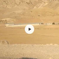 مرغداری فروش یا معاوضه با ملک تو تهران|اجارهٔ دفتر صنعتی، کشاورزی، تجاری|آبدانان, |دیوار