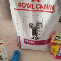 وسایل گربه|گربه|ری, تصفیه خانه|دیوار