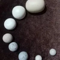 shahab|جواهرات|اردبیل, |دیوار