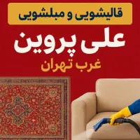 قالیشویی و مبلشویی پروین - سراسرتهران