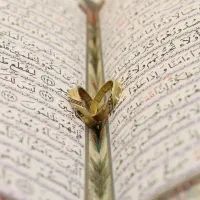 عکاسی و فیلم برداری تولید محتوا|خدمات پذیرایی، مراسم|شیراز, معالی‌آباد|دیوار
