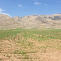 ۳ هکتار زمین کشاورزی مناسب سرمایه گذاری|فروش دفتر صنعتی، کشاورزی، تجاری|شیراز, گلستان|دیوار