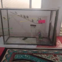 قفس بزرگ.معاوضه