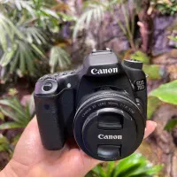 دوربین کانن d70 در حد آک با لنز 50به همراه سه پایه|دوربین عکاسی و فیلم‌برداری|شیراز, قدوسی شرقی|دیوار