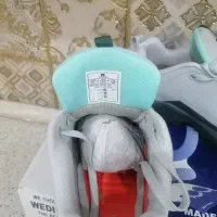 کفش|کیف، کفش، کمربند|کرمان, |دیوار