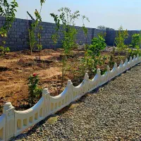 باغچه نزدیک بافت سند تک برگ