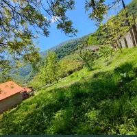 1000متر زمین مسکونی سند تک برگ در دل طبیعت