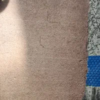فرش موکت