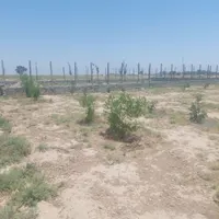 باغ ۲ ساله    ۳۶۷ متری|فروش دفتر صنعتی، کشاورزی، تجاری|جوادآباد, |دیوار