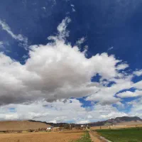 باغبان یا کارگر باغ