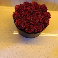 گل های مصنوعی|گل مصنوعی|آشخانه, |دیوار