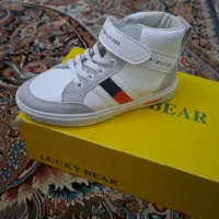 کفش بچه گانهTOMMY|کیف، کفش، کمربند|شیراز, شهرک بهشتی|دیوار