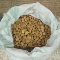 بادام/بادوم درجه یک برزلجین درشت و خوش طعم