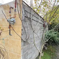 ویلا باغ ۳۰۰ متری سند تکبرگ با ۸۰ متر بنا دو خواب|فروش خانه و ویلا|رشت, بلوار گیلان|دیوار