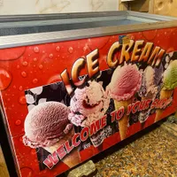 یخچال بستنی و یخچال ایستاده