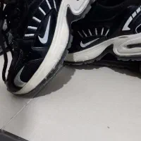 کفش اسپرت|کیف، کفش، کمربند|رامهرمز, |دیوار