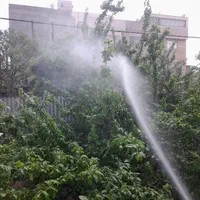باغبانی سمپاشی هرس کاری تیلرزدن تعویض خاک گلدان|خدمات باغبانی و درختکاری|مشهد, هفت تیر (آب و برق)|دیوار