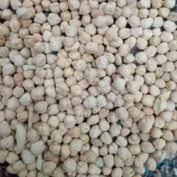 نخود درج یک