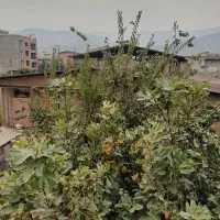 فروش آپارتمان|فروش آپارتمان|گلوگاه, |دیوار