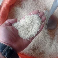 برنج سرای و چای و عسل