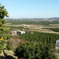 اجاره مسکن با ویوی ابدی|اجارهٔ خانه و ویلا|مرزیکلا, |دیوار