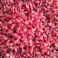 زرشک|خدمات باغبانی و درختکاری|قائن, |دیوار