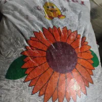 تخمه آفتابگردان خام
