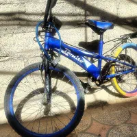 دوچرخه 20 Bonito