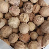 لیمو عمانی