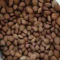 بادام. خشک شیرین امسال درجه یک فارس