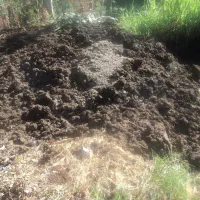 کودحیوانی سیاه و پودری درجه یک